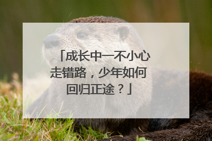 成长中一不小心走错路，少年如何回归正途？