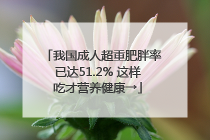 我国成人超重肥胖率已达51.2% 这样吃才营养健康→