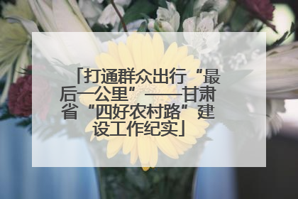 打通群众出行“最后一公里”——甘肃省“四好农村路”建设工作纪实