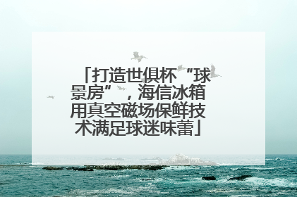 打造世俱杯“球景房”，海信冰箱用真空磁场保鲜技术满足球迷味蕾