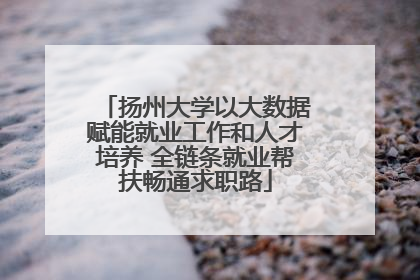 扬州大学以大数据赋能就业工作和人才培养 全链条就业帮扶畅通求职路