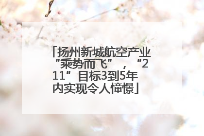 扬州新城航空产业“乘势而飞”，“211”目标3到5年内实现令人憧憬