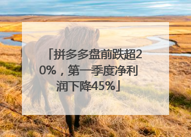 拼多多盘前跌超20%，第一季度净利润下降45%