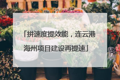 拼速度提效能，连云港海州项目建设再提速