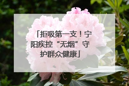 拒吸第一支！宁阳疾控“无烟”守护群众健康