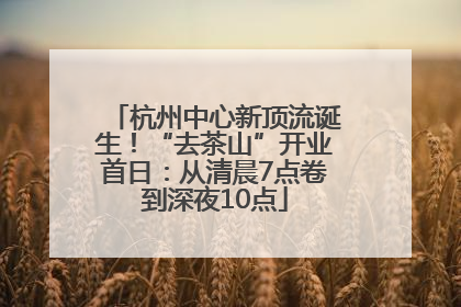 杭州中心新顶流诞生！“去茶山”开业首日：从清晨7点卷到深夜10点