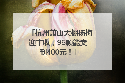 杭州萧山大棚杨梅迎丰收，96颗能卖到400元！
