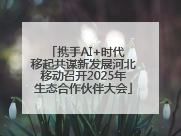 携手AI+时代 移起共谋新发展河北移动召开2025年生态合作伙伴大会
