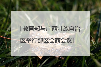 教育部与广西壮族自治区举行部区会商会议
