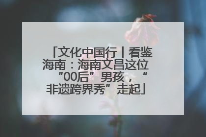 文化中国行丨看鉴海南：海南文昌这位“00后”男孩，“非遗跨界秀”走起