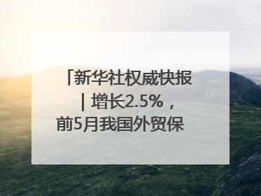 新华社权威快报｜增长2.5%，前5月我国外贸保持较强韧性