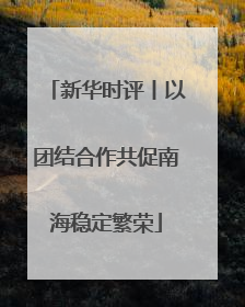 新华时评丨以团结合作共促南海稳定繁荣