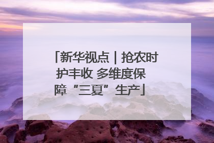 新华视点｜抢农时 护丰收 多维度保障“三夏”生产
