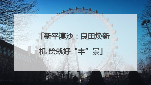 新平漠沙：良田焕新机 绘就好“丰”景