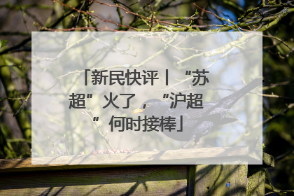 新民快评丨“苏超”火了，“沪超”何时接棒