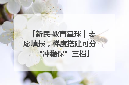 新民·教育星球｜志愿填报，梯度搭建可分“冲稳保”三档