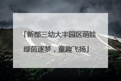 新都三幼大丰园区萌娃绿茵逐梦，童趣飞扬