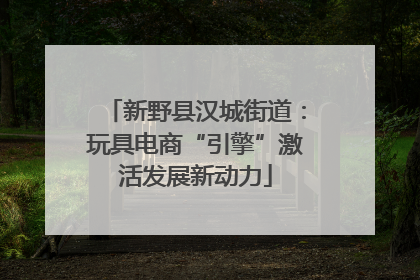 新野县汉城街道：玩具电商“引擎”激活发展新动力