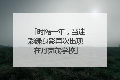 时隔一年，当迷彩绿身影再次出现在丹克茂学校