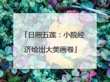 日照五莲：小院经济绘出大美画卷