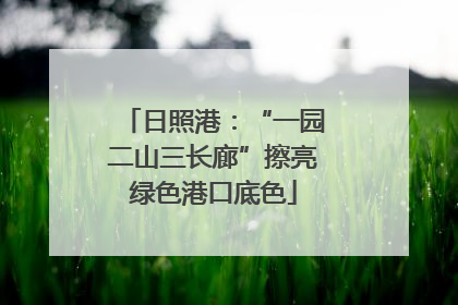 日照港：“一园二山三长廊”擦亮绿色港口底色