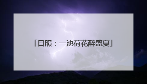 日照：一池荷花醉盛夏