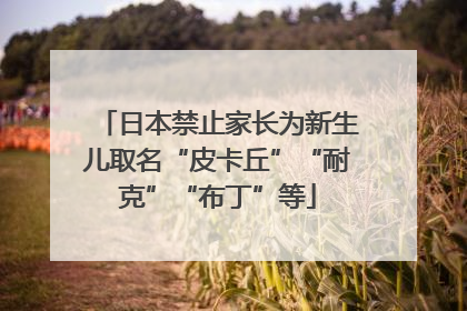 日本禁止家长为新生儿取名“皮卡丘”“耐克”“布丁”等