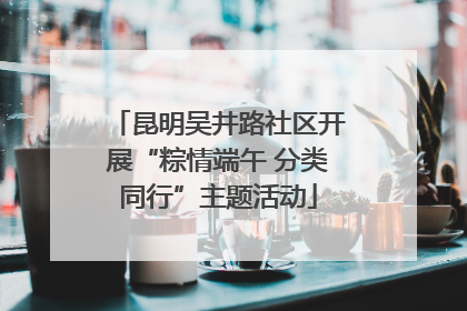 昆明吴井路社区开展“粽情端午 分类同行”主题活动
