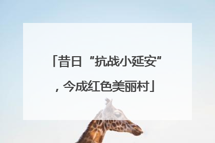 昔日“抗战小延安”，今成红色美丽村