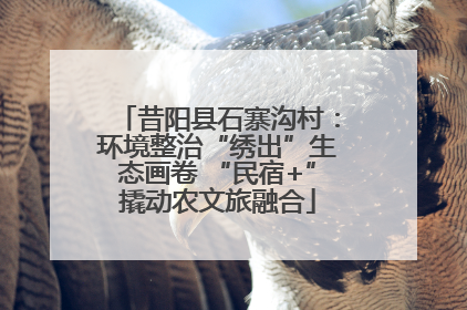 昔阳县石寨沟村：环境整治“绣出”生态画卷 “民宿+”撬动农文旅融合