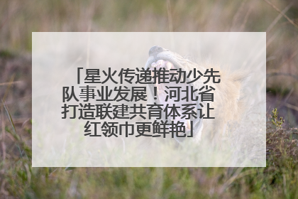 星火传递推动少先队事业发展！河北省打造联建共育体系让红领巾更鲜艳