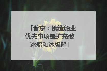普京：俄造船业优先事项是扩充破冰船和冰级船