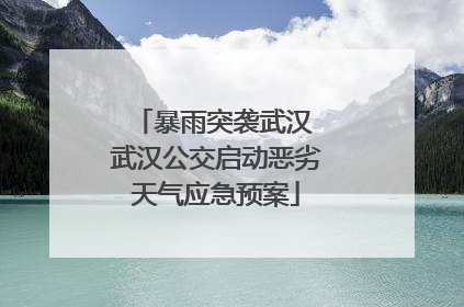 暴雨突袭武汉 武汉公交启动恶劣天气应急预案