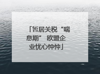 暂居关税“喘息期” 欧盟企业忧心忡忡