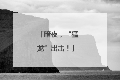 暗夜，“猛龙”出击！