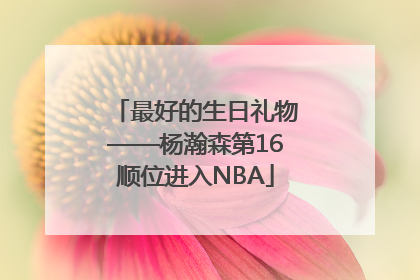 最好的生日礼物——杨瀚森第16顺位进入NBA