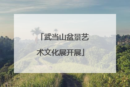 武当山盆景艺术文化展开展