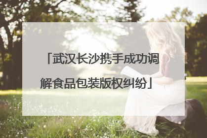 武汉长沙携手成功调解食品包装版权纠纷