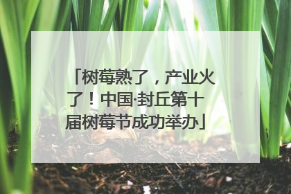 树莓熟了，产业火了！中国·封丘第十届树莓节成功举办