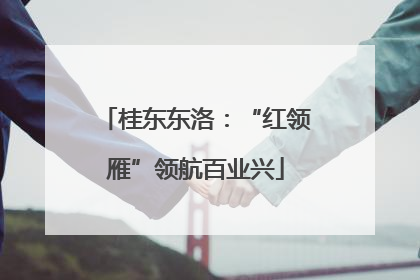 桂东东洛：“红领雁”领航百业兴