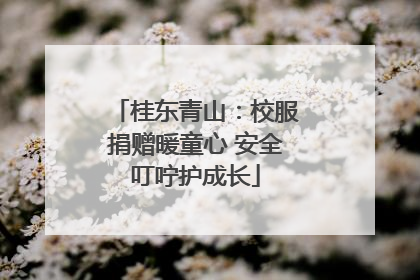 桂东青山：校服捐赠暖童心 安全叮咛护成长