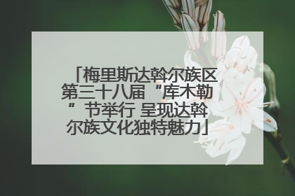 梅里斯达斡尔族区第三十八届“库木勒”节举行 呈现达斡尔族文化独特魅力