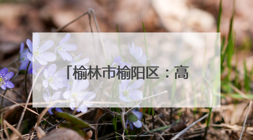 榆林市榆阳区：高考首日 莘莘学子执笔为剑 逐梦青春