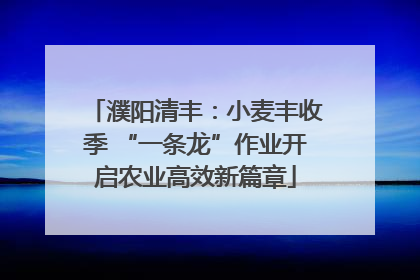 濮阳清丰：小麦丰收季 “一条龙”作业开启农业高效新篇章