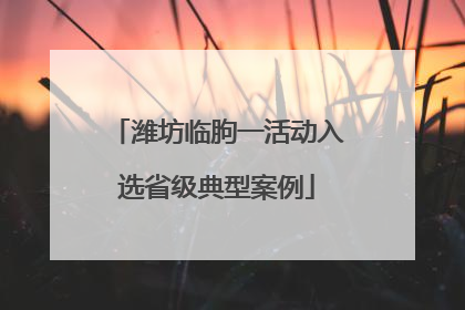 潍坊临朐一活动入选省级典型案例