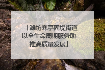 潍坊寒亭固堤街道以全生命周期服务助推高质量发展