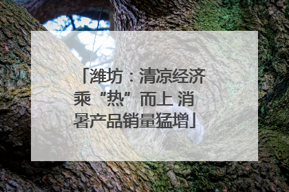潍坊：清凉经济乘“热”而上 消暑产品销量猛增