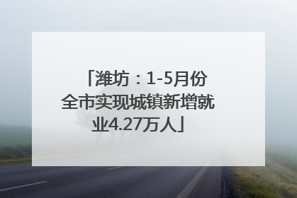 潍坊：1-5月份全市实现城镇新增就业4.27万人