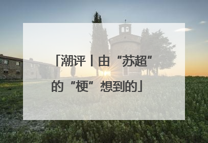 潮评丨由“苏超”的“梗”想到的