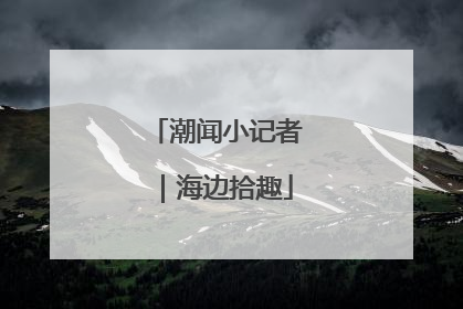 潮闻小记者｜海边拾趣